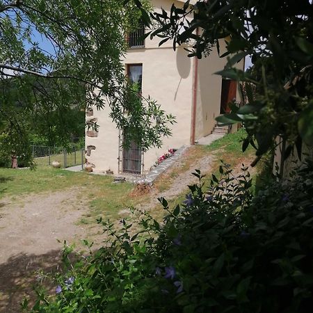 La Peonia Casa Vacanze In Montagna Prato Verde Panorama Stupendo Sardegna Seùlo Eksteriør bilde