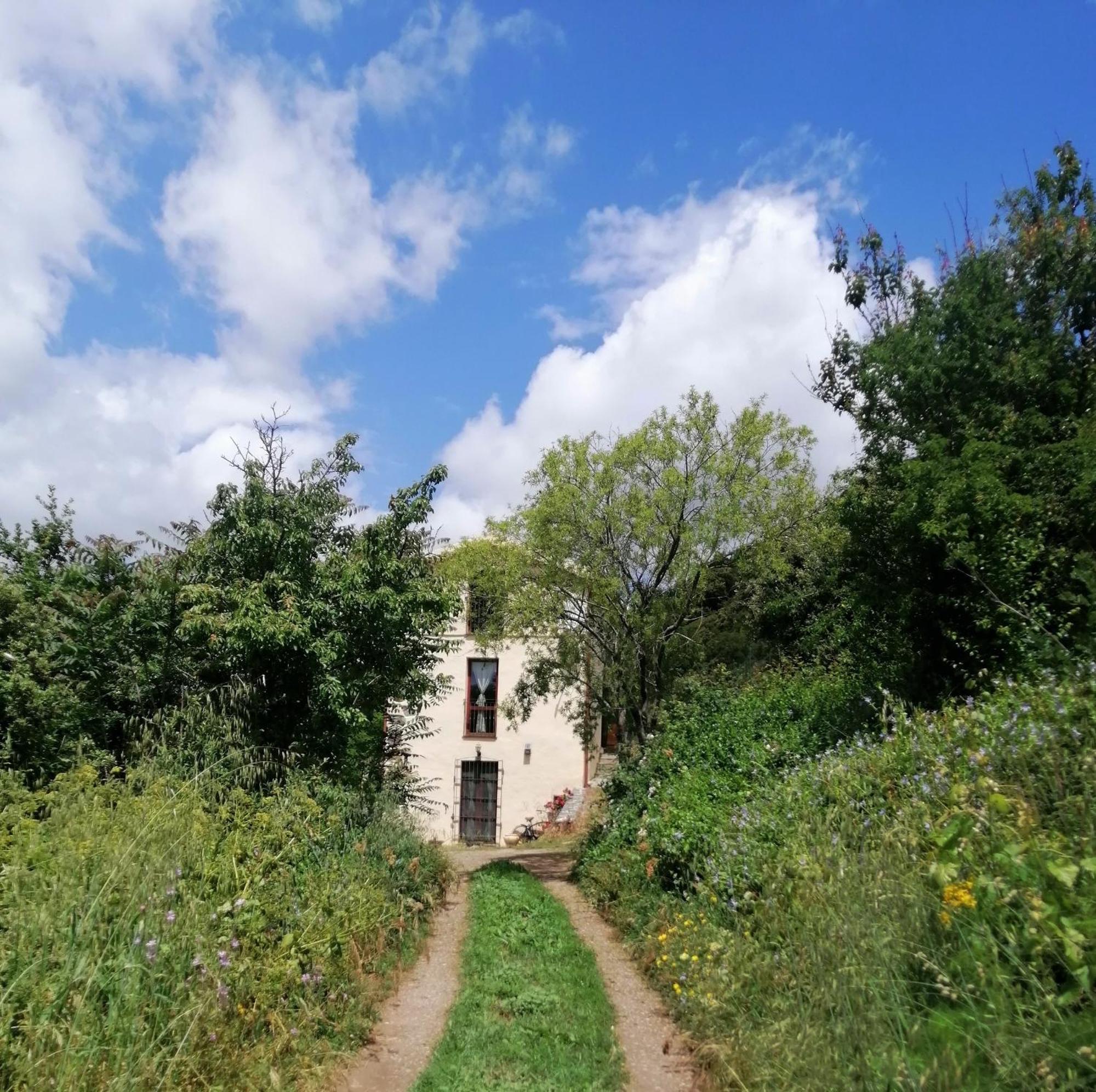 La Peonia Casa Vacanze In Montagna Prato Verde Panorama Stupendo Sardegna Seùlo Eksteriør bilde