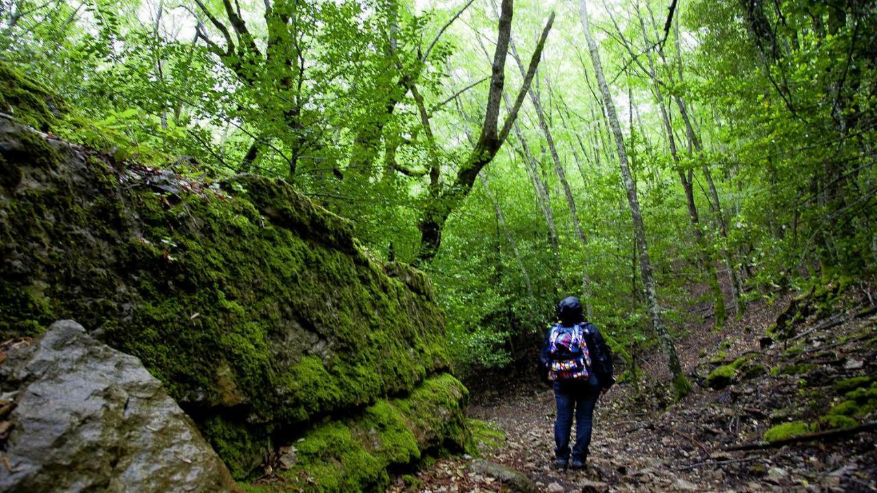 La Peonia Casa Vacanze In Montagna Prato Verde Panorama Stupendo Sardegna Seùlo Eksteriør bilde