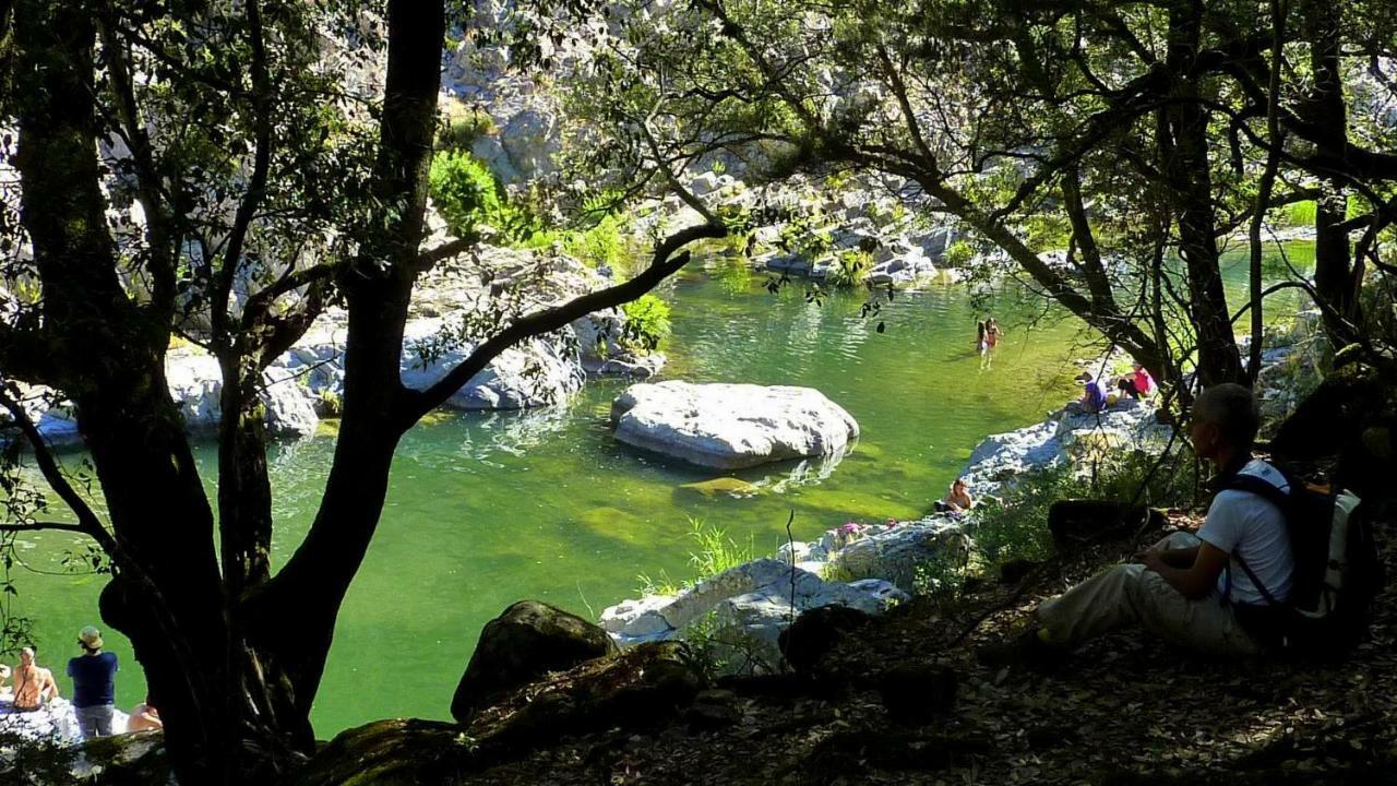 La Peonia Casa Vacanze In Montagna Prato Verde Panorama Stupendo Sardegna Seùlo Eksteriør bilde