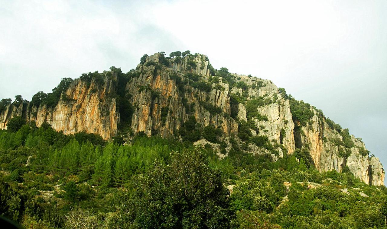 La Peonia Casa Vacanze In Montagna Prato Verde Panorama Stupendo Sardegna Seùlo Eksteriør bilde